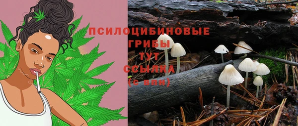 таблы Армянск