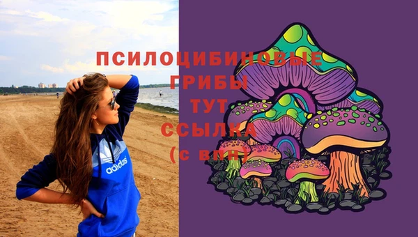 таблы Армянск