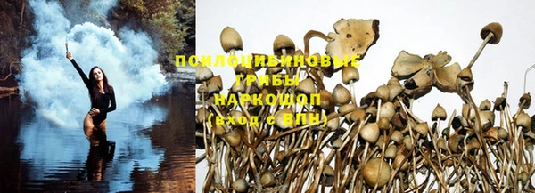 бошки Алзамай