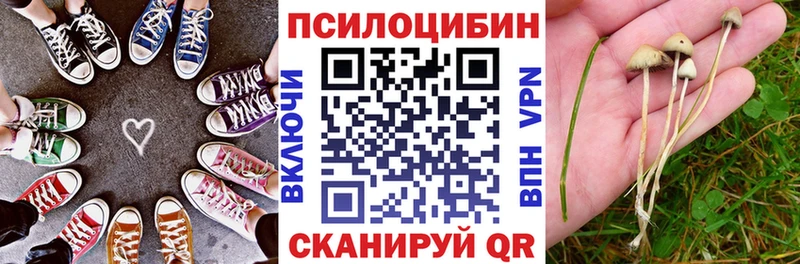 купить наркотики цена  Гаврилов Посад  Псилоцибиновые грибы прущие грибы 